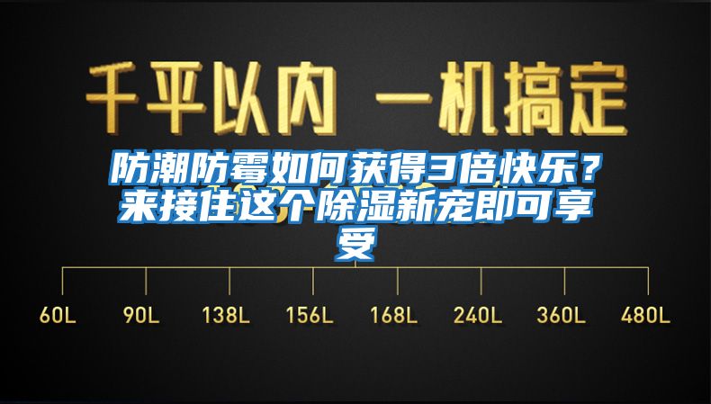 防潮防霉如何獲得3倍快樂？來接住這個除濕新寵即可享受